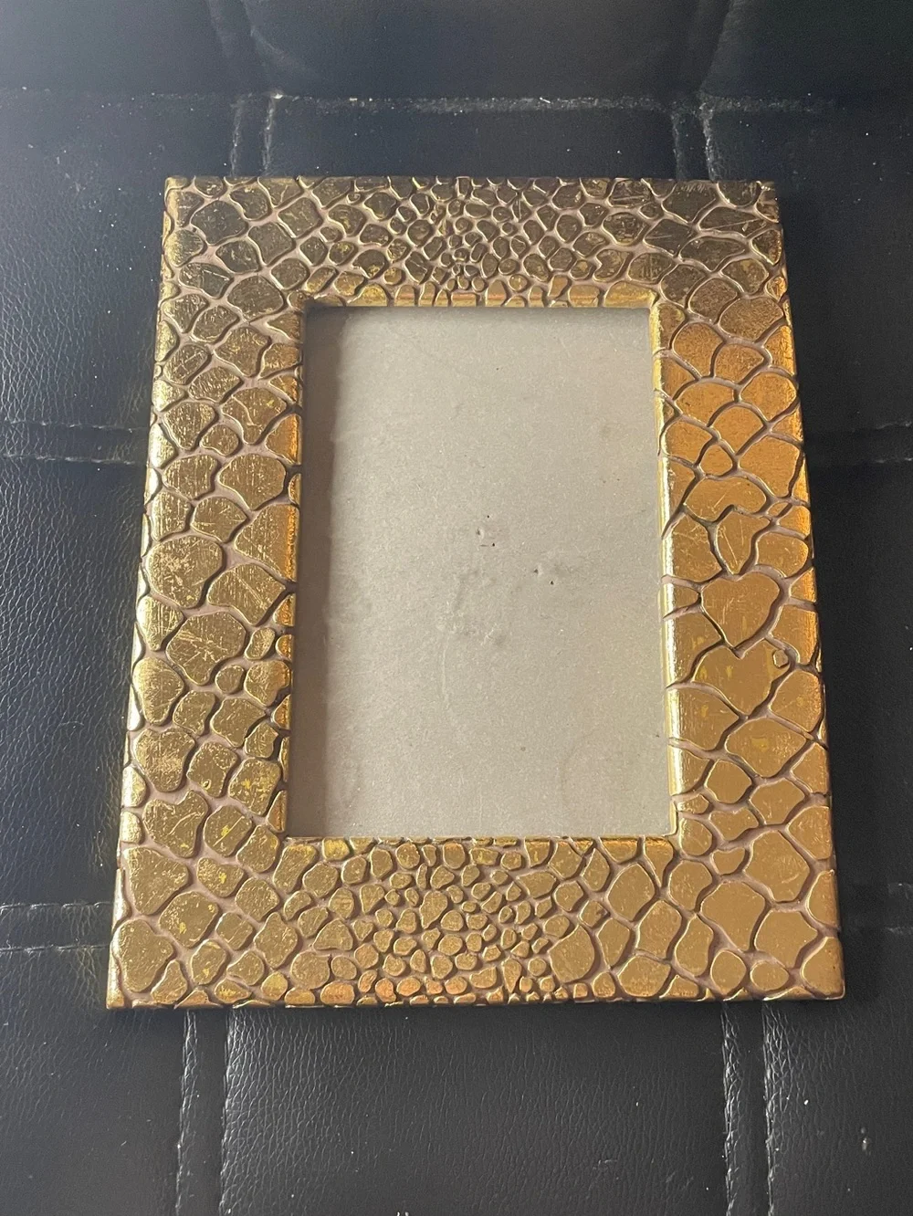 Python Gold Picture Frame